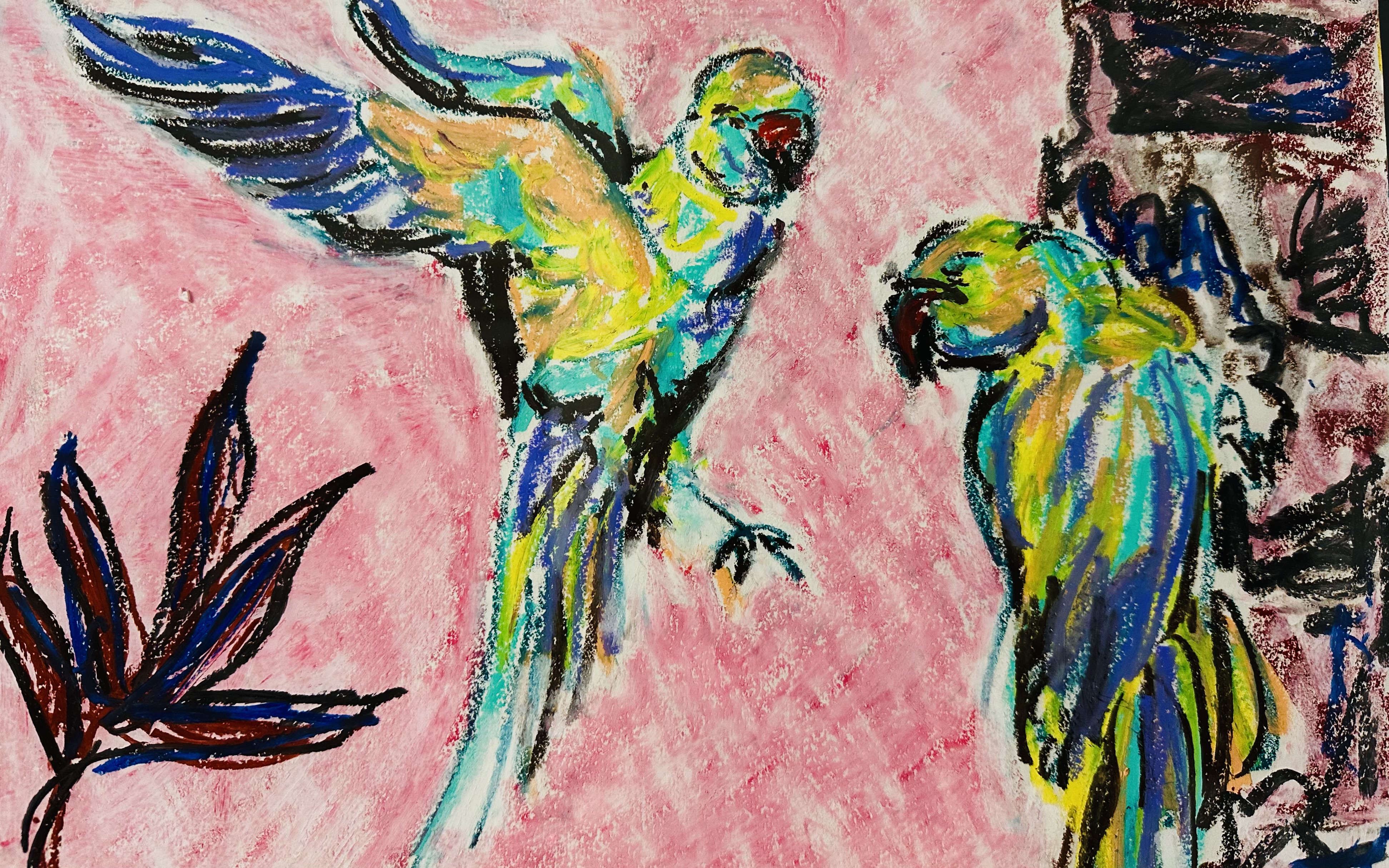 Parakeets